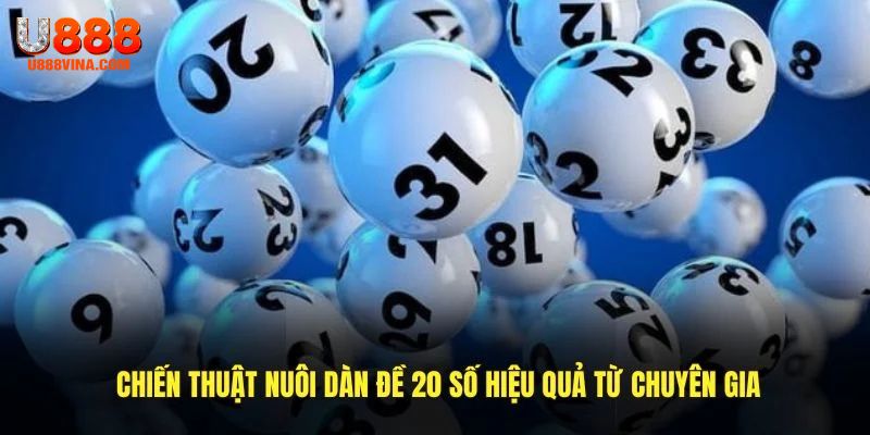 Chiến thuật nuôi dàn đề 20 số hiệu quả từ chuyên gia