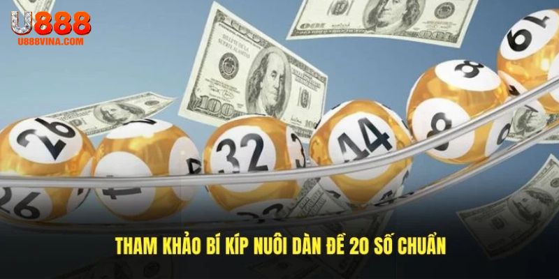 Tham khảo bí quyết nuôi dàn đề 20 số chuẩn